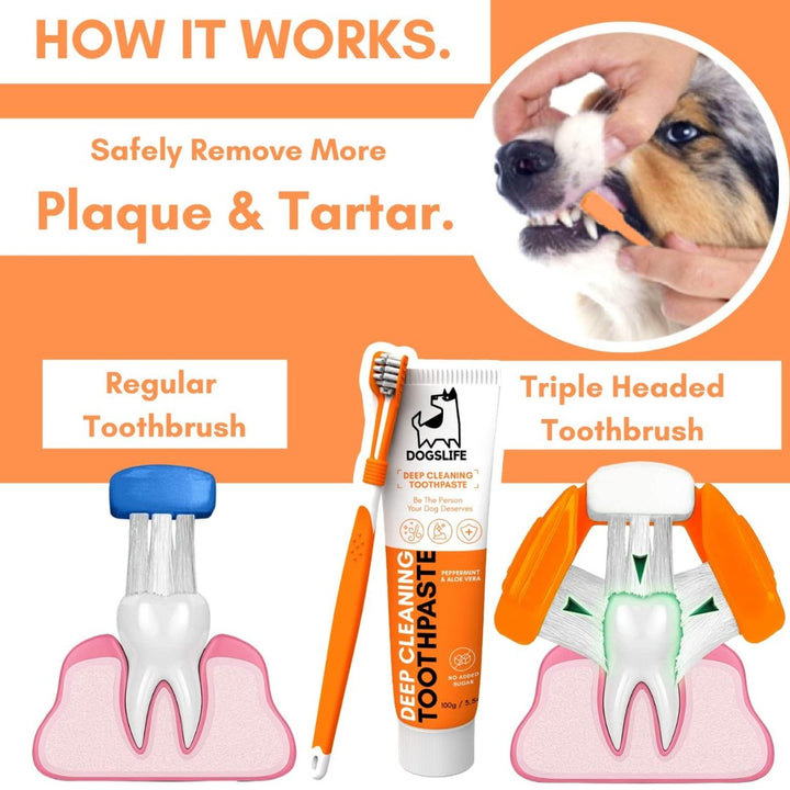 DogsLife Dog Dental Care Kit - How to use