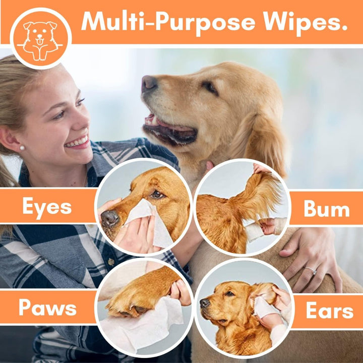 DogsLife Scented Baby Powder Grooming Dog Wipes 100pcs - Your Pet's Ultimate Grooming Solution!