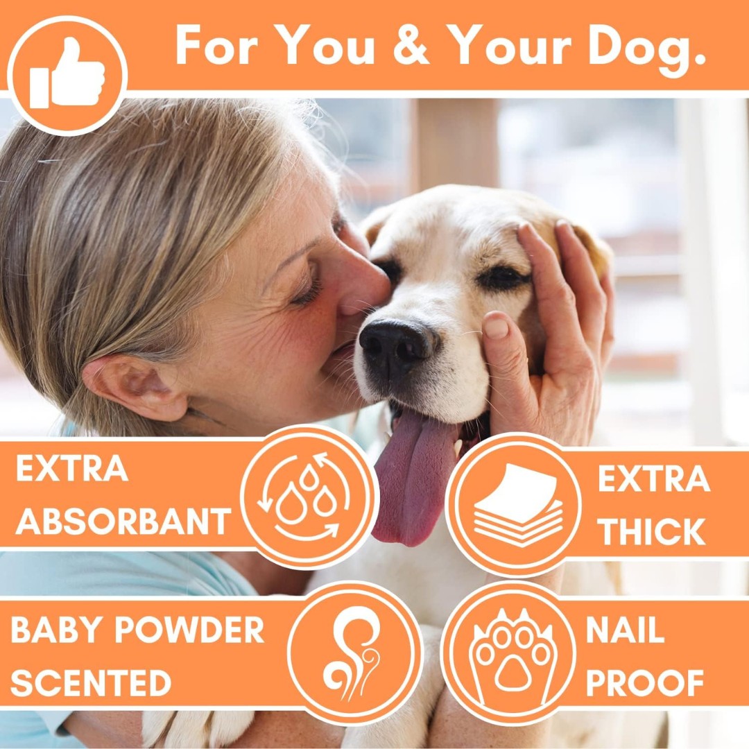 DogsLife Scented Baby Powder Grooming Dog Wipes 100pcs - Your Pet's Ultimate Grooming Solution!