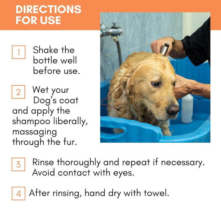 DogsLife Dog Shampoo & Conditioner - How to use 