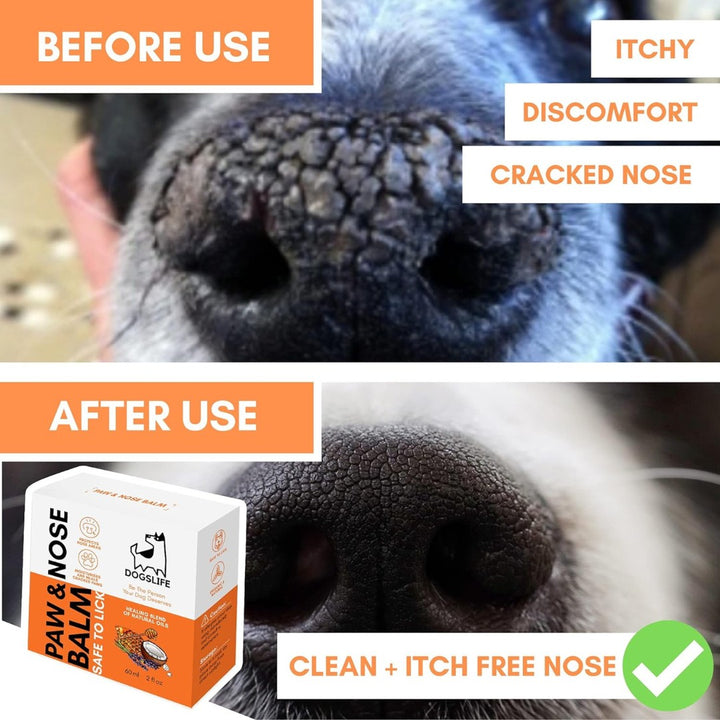 Choose DogsLife Organic Dog Paw & Nose Balm for an organic, effective, and nurturing solution to pamper your dog's precious paws and noses. Say goodbye to discomfort and hello to a happier, healthier pet.