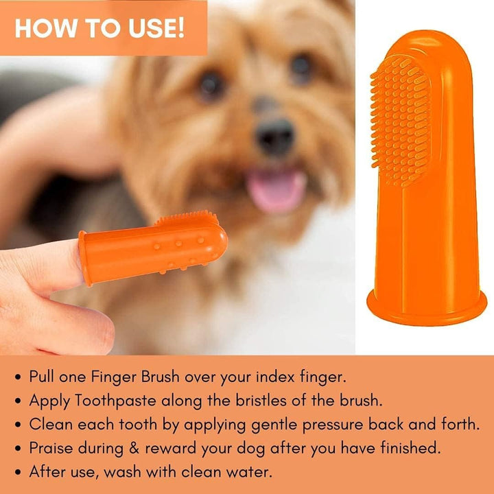 DogsLife Dog Silicone Finger Dental Brushes - How To Use