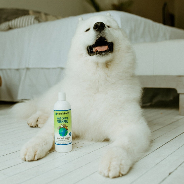 Elevate your pet's grooming routine with Earthbath® Shed Control Shampoo. Enjoy a clean, healthy coat and a fresh, delightful scent after every wash.