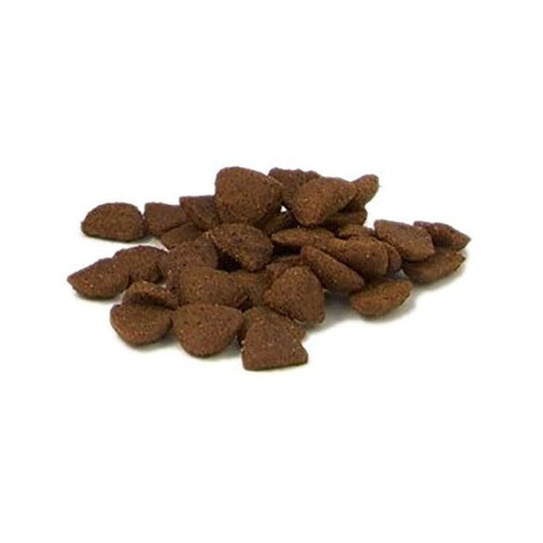 Fish4Dogs Super Stars Training Dog Treats - Natural Sardine, Salmon Meal, and Sweet Potato Training Treats for Dogs - Kibble Size