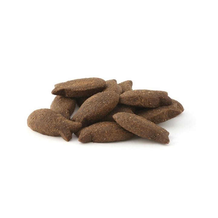 Fish4Dogs Support+ Joint Salmon Morsels Dog Treats - Salmon Flavored Biscuits with Glucosamine and Chondroitin for Joint Health - Kibble Size