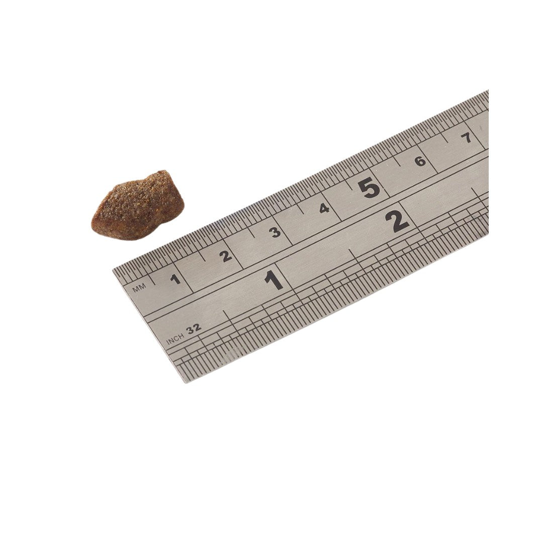 Fish4Dogs Support+ Salmon Mini Morsels Puppy Treats - Small Salmon Treats for Puppies with Glucosamine and Chondroitin - Kibble Size
