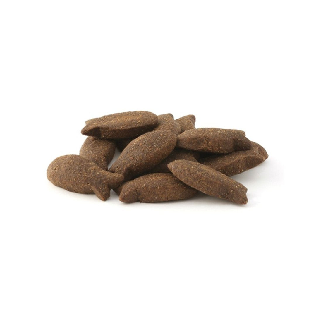 Fish4Dogs Support+ Skin & Coat Mackerel Morsels Dog Treats - Kibble 