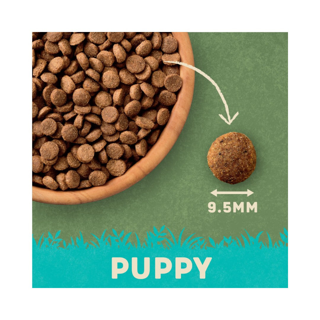 Harringtons Complete Salmon & Rice Puppy Dry Food - a specially crafted recipe full of natural ingredients that are perfectly balanced and complete for growing pups - Kibble size.