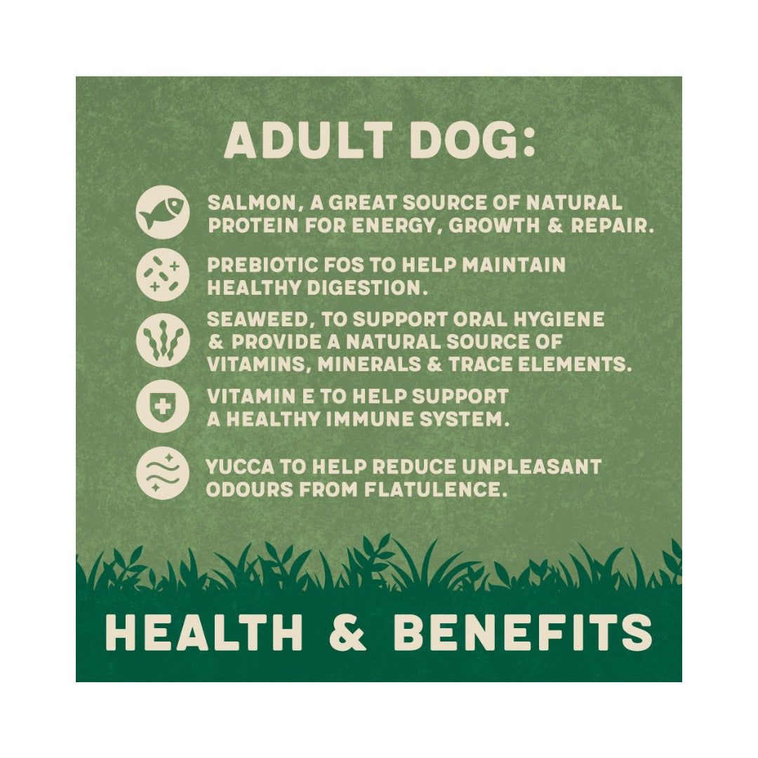Harringtons Complete Salmon and Potato Dry Dog Food is a wholesome, all-natural dry dog food suitable for dogs eight weeks and older benefits.