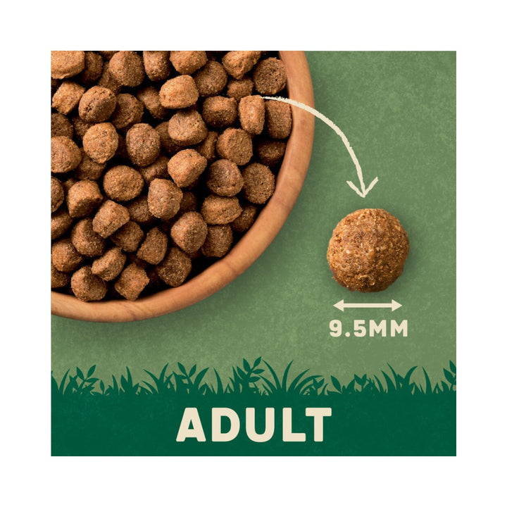 Harringtons Complete Salmon and Potato Dry Dog Food is a wholesome, all-natural dry dog food suitable for dogs eight weeks and older Kibble Size.
