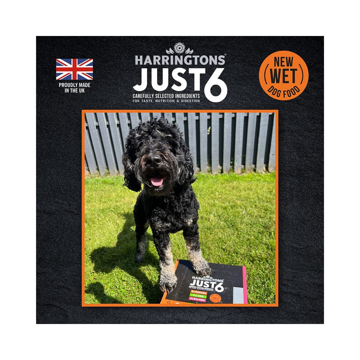 Harringtons Just 6 Grain-Free Wet Dog Food with Chicken and Vegetables in a Delicious Gravy - a complete dog food made with six carefully selected ingredients Real AD.