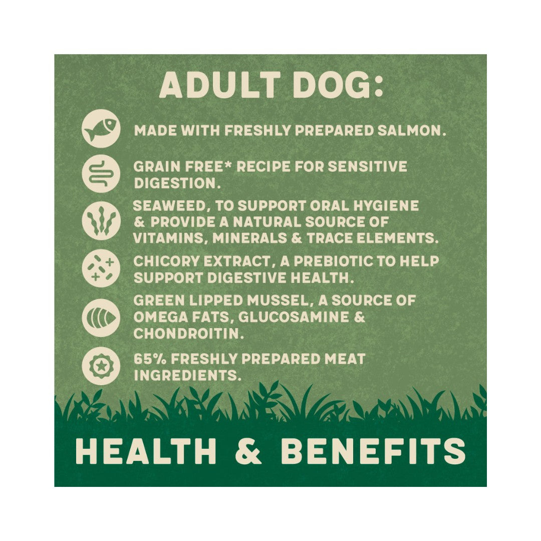 Harringtons Salmon with Potato & Vegetables Grain-Free Wet Dog Food is a delicious and healthy meal for your furry friend, Food Benefits.