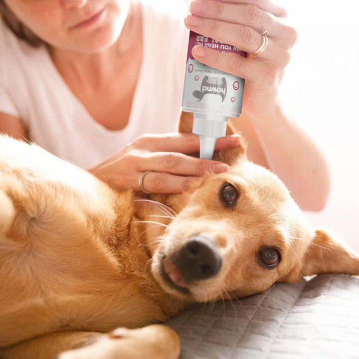 Hownd Can You Hear Me? Natural Dog Ear Cleaner is a pH-balanced solution that delicately removes dirt, debris, and wax AD.