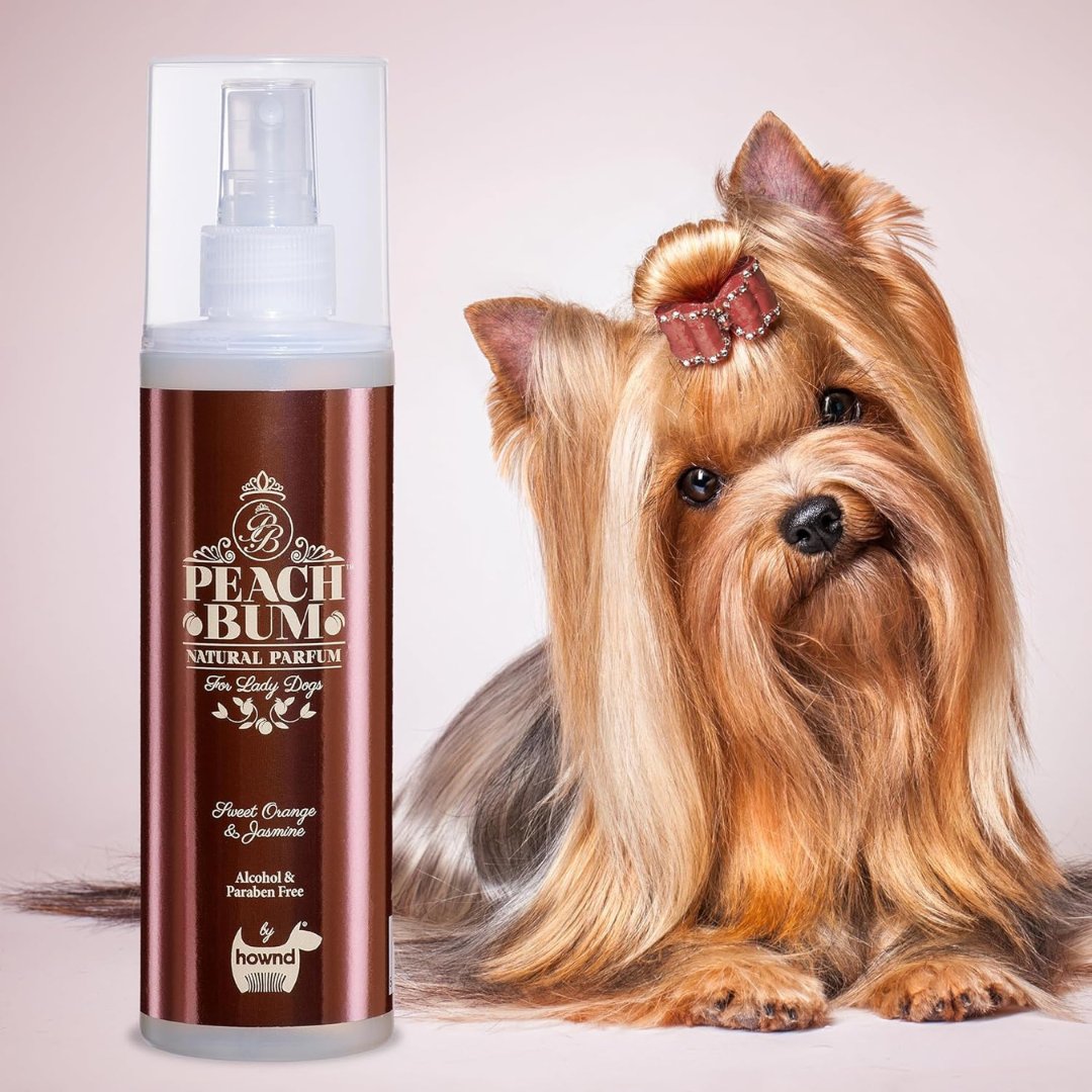 Hownd Peach Bum For Female Dog - Unique Fragrance with Sweet Orange, Jasmine, and Peach Notes - Ad