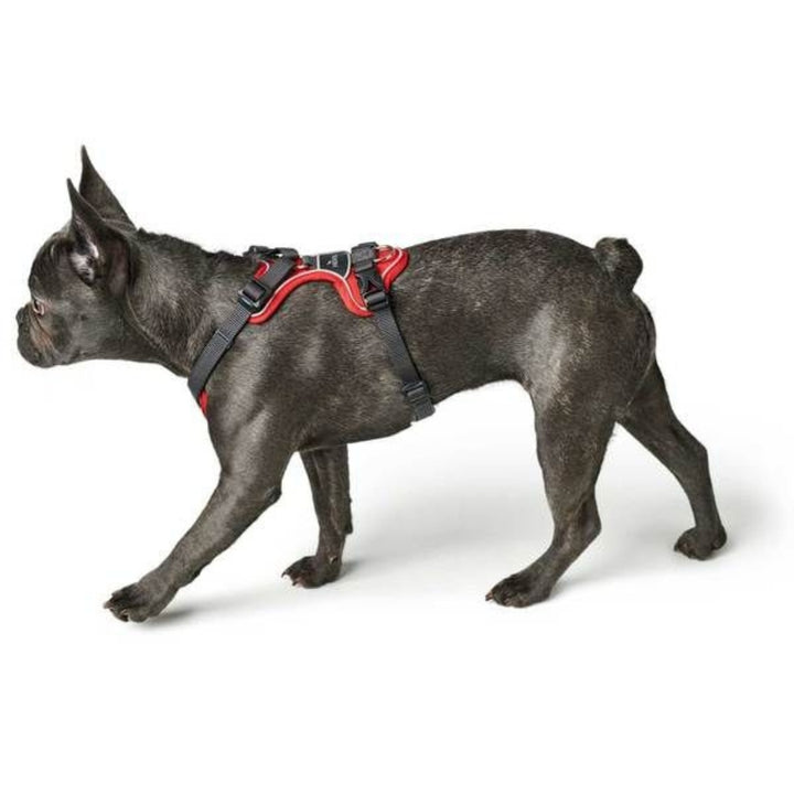 Hunter Divo Dog Harness - Red- AD1