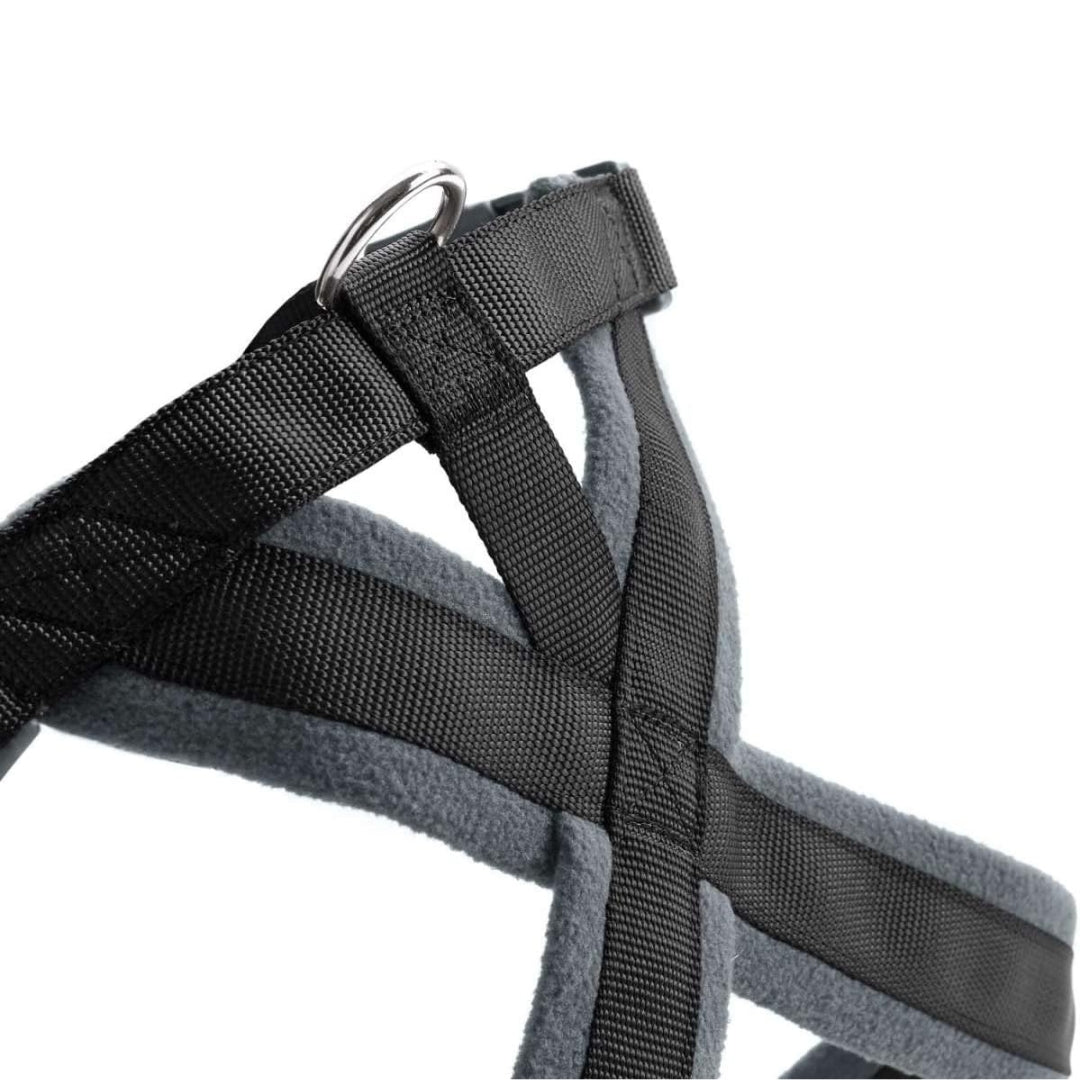 Hunter London Comfort Dog Harness Black Back