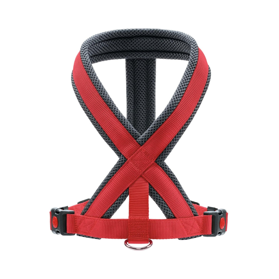 Hunter London Comfort Dog Harness Red Color Back