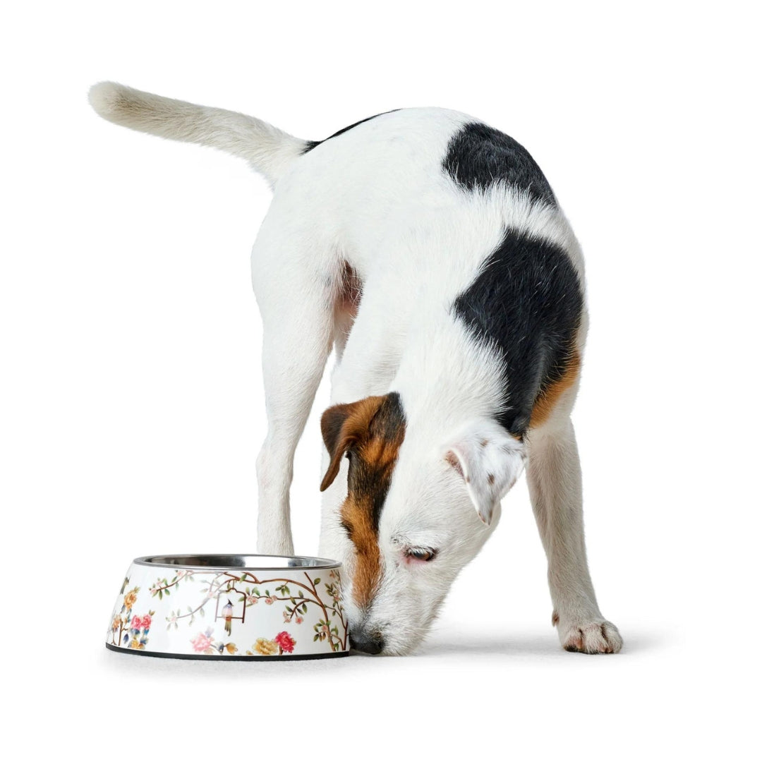 Hunter Melamine Mogami Dog Bowl - AD