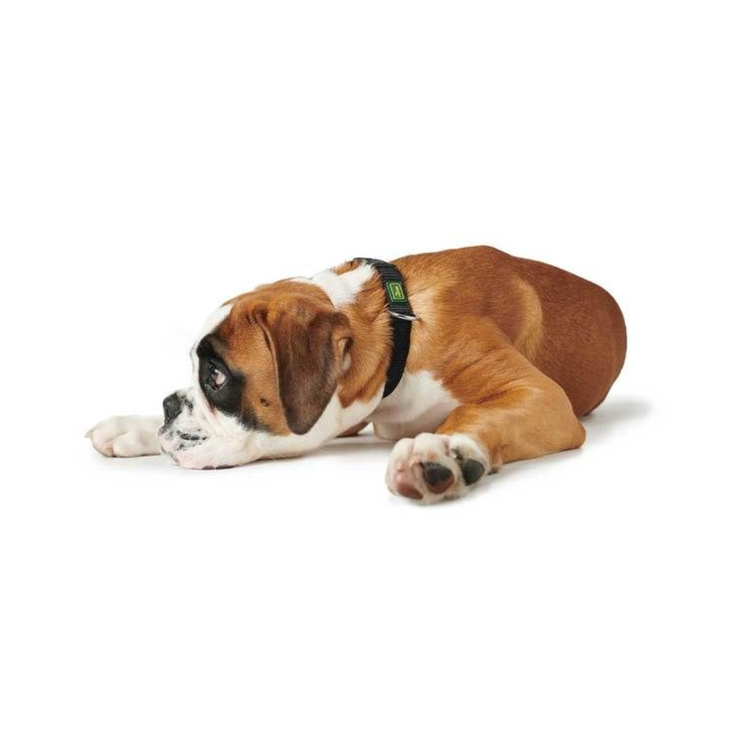 Hunter Vario Plus Dog Collar - AD