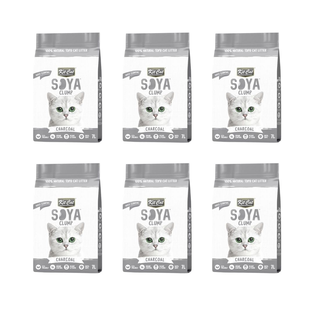 Activated Charcoal Cat Litter for Odor Control UAE