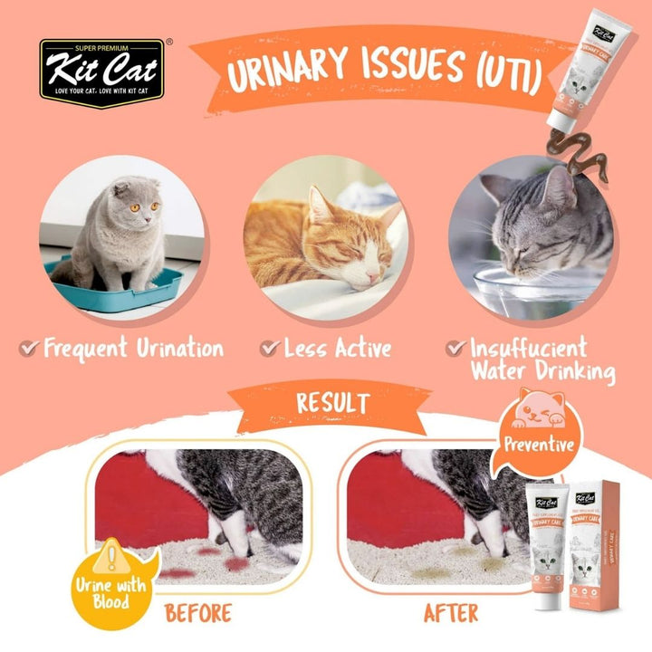 Kit Cat Urinary Care Gel for Cats in Dubai – 120g Cranberry-Infused Urinary Support- Benefits.