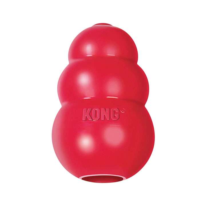 Kong Classic Dog Toy - Actual Toy