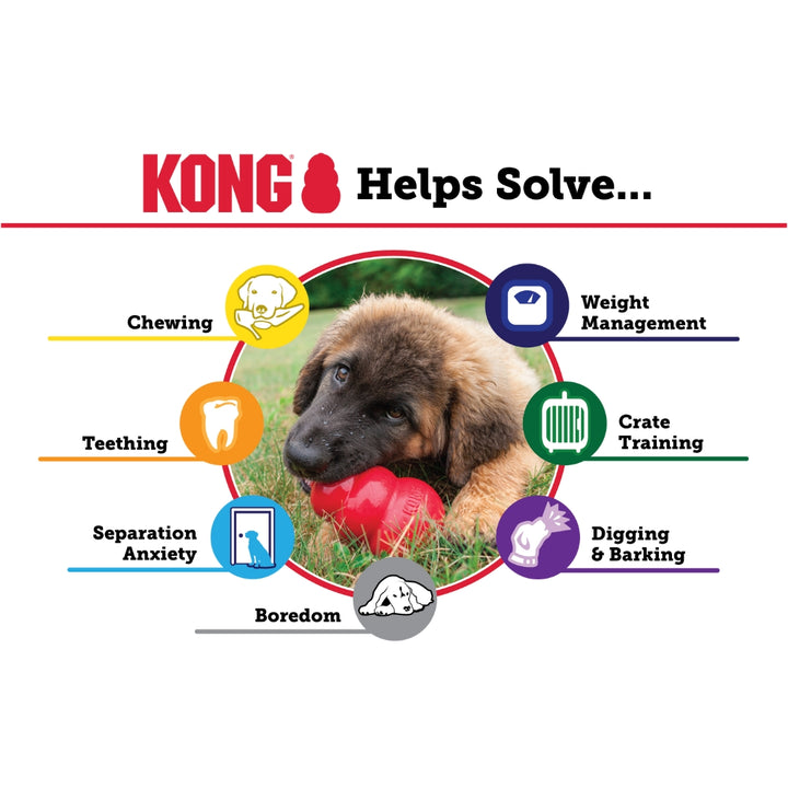 Kong Puppy Teething Toy - Benefits 