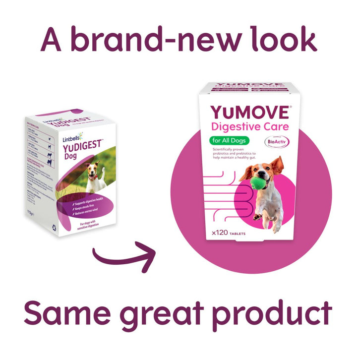 YuMOVE Digestive Care is a daily supplement tablet that provides digestive support to dogs, especially those with sensitive stomachs.
