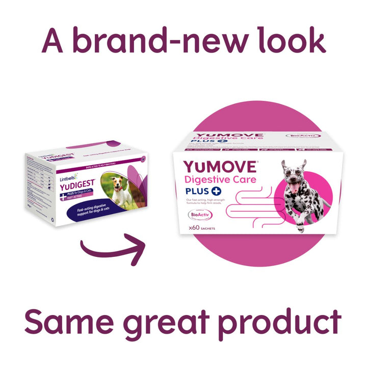 YuDIGEST PLUS for Dogs is the perfect solution for pet owners looking to support their furry friend's digestive health -New Look.