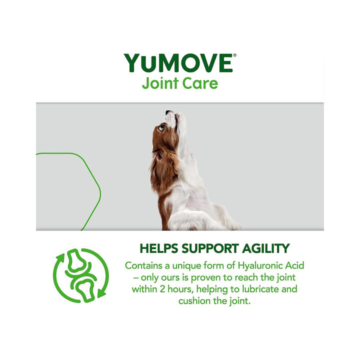 Lintbells Yumove Young and Active 60 Tablets may be the answer. This supplement is clinically proven to improve joint flexibility and maintain supple joints in as little as 6 weeks AD. 