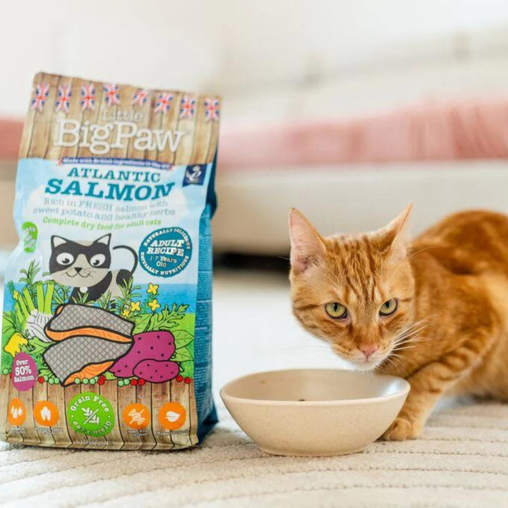 Little Big Paw Atlantic Salmon Cat Dry Food - Premium Grain-Free Nutrition for Cats in Dubai, 1.5kg - AD