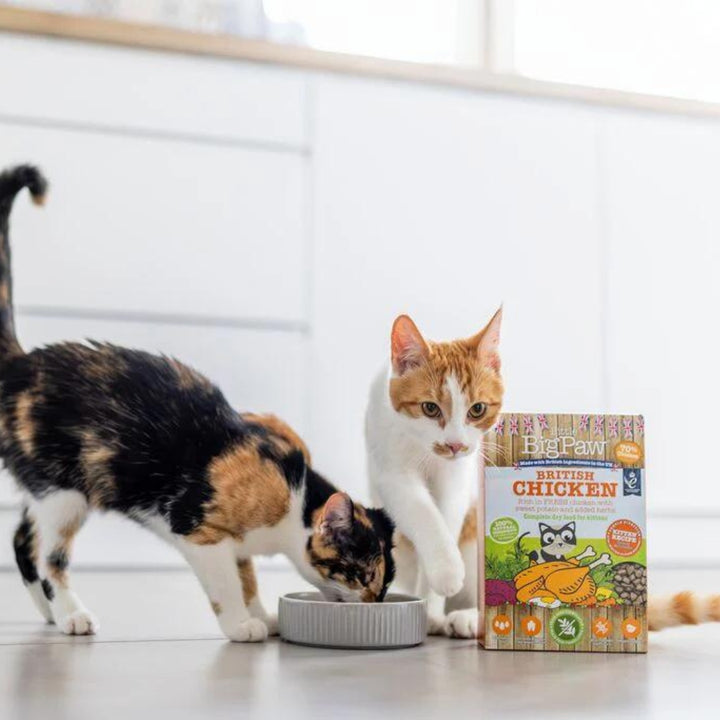 Little Big Paw British Chicken Kitten Dry Food - AD