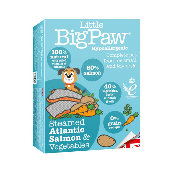 Little Big Paw Salmon & Vegetable Dog Wet Food - Front Try