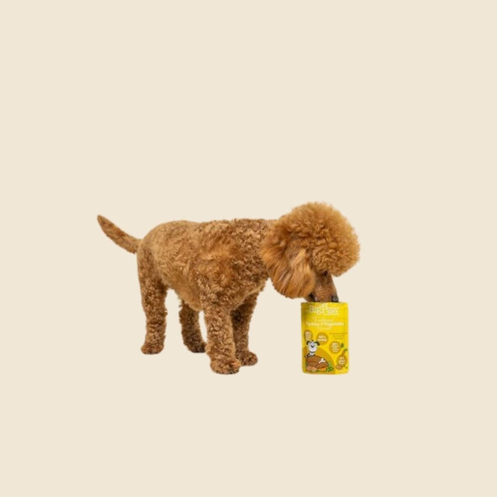 Little Big Paw Turkey &amp; Vegetable Dinner Wet Dog Food – Grain-Free, High-Quality Nutrition for Small Dogs.