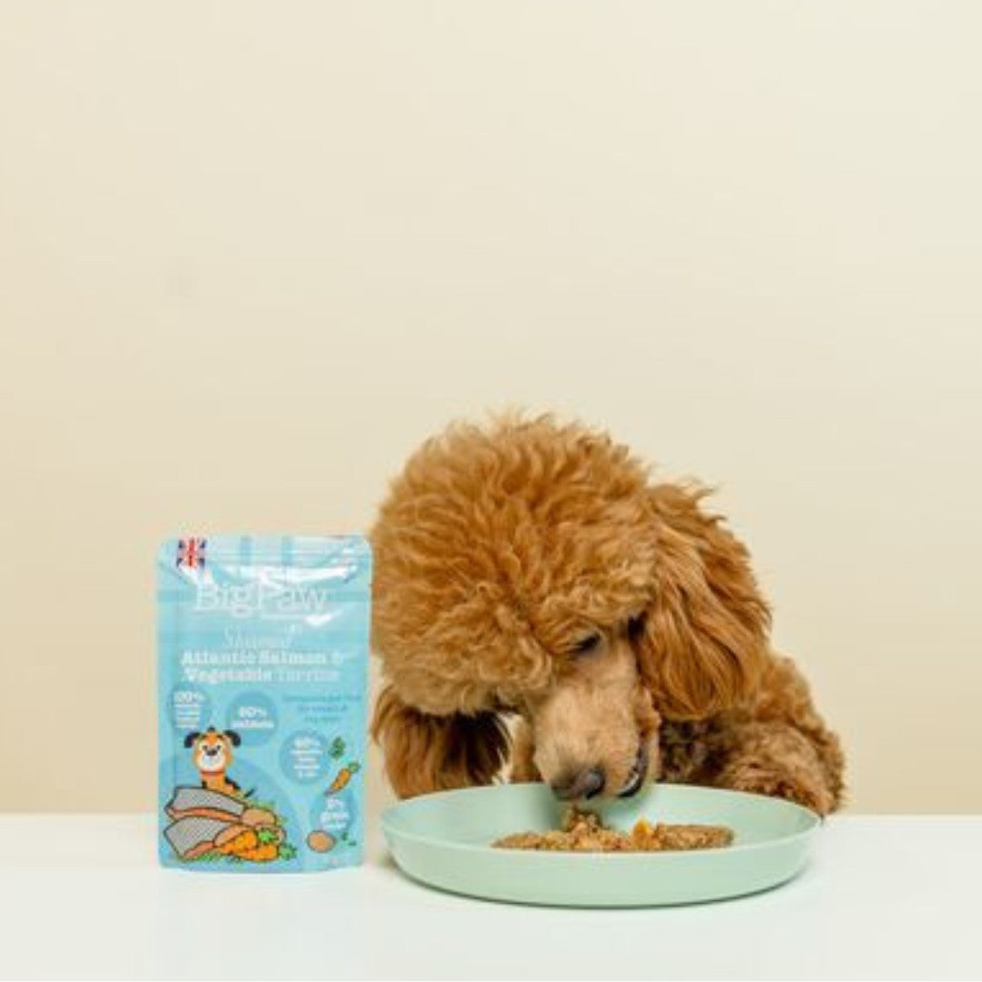 Little BigPaw Steamed Atlantic Salmon & Vegetables Dinner Wet Dog Food 150g