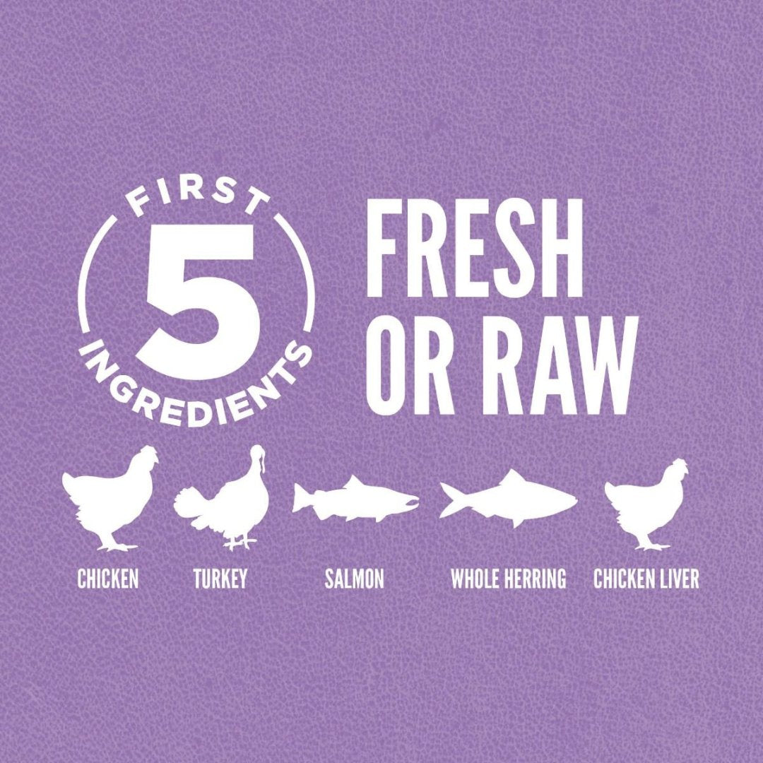 Orijen Kitten Dry Food. The first five ingredients are fresh or raw poultry and fish, preserved through refrigeration or flash-freezing at peak freshness - Full.