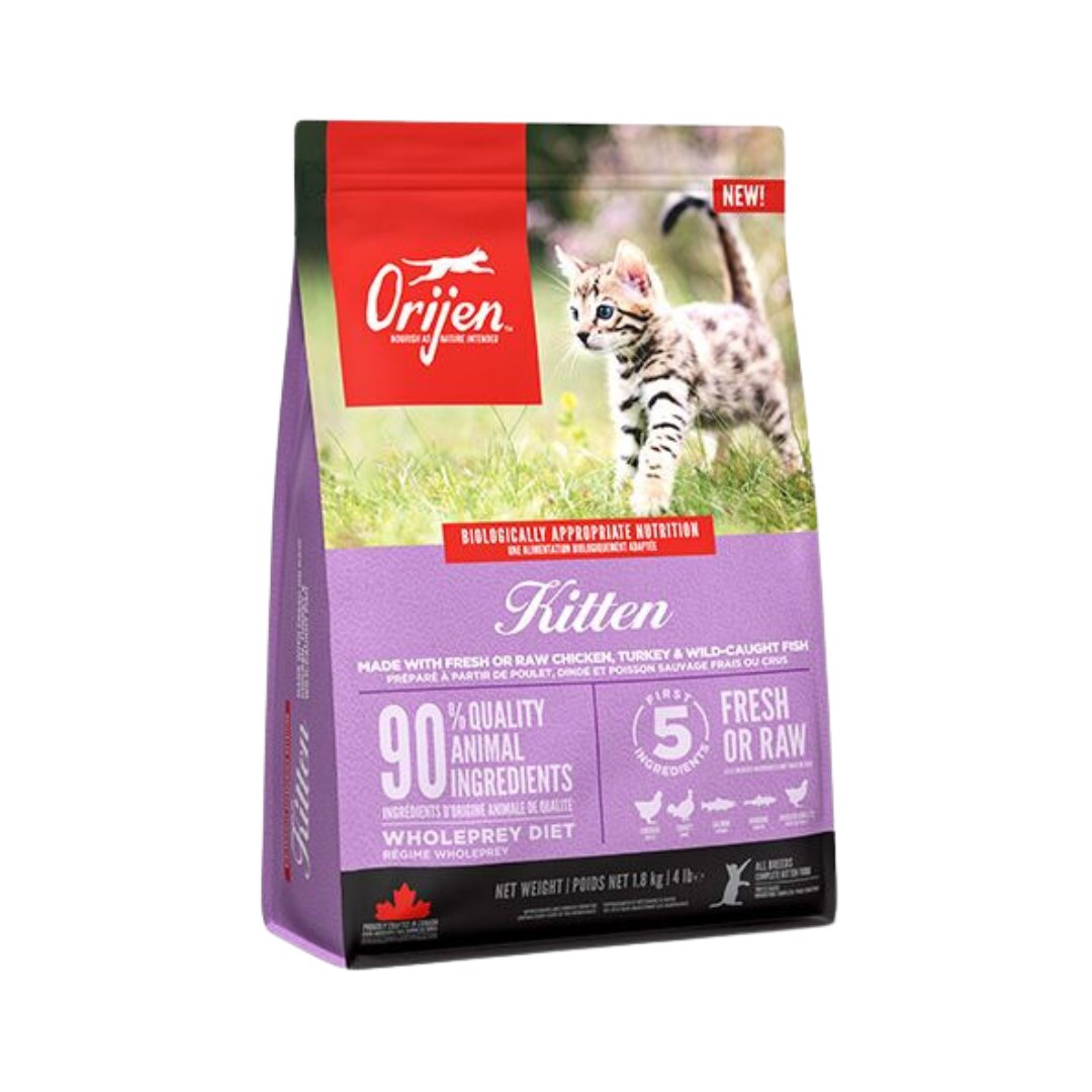 Buy Orijen Kitten Dry Food | Petz.ae