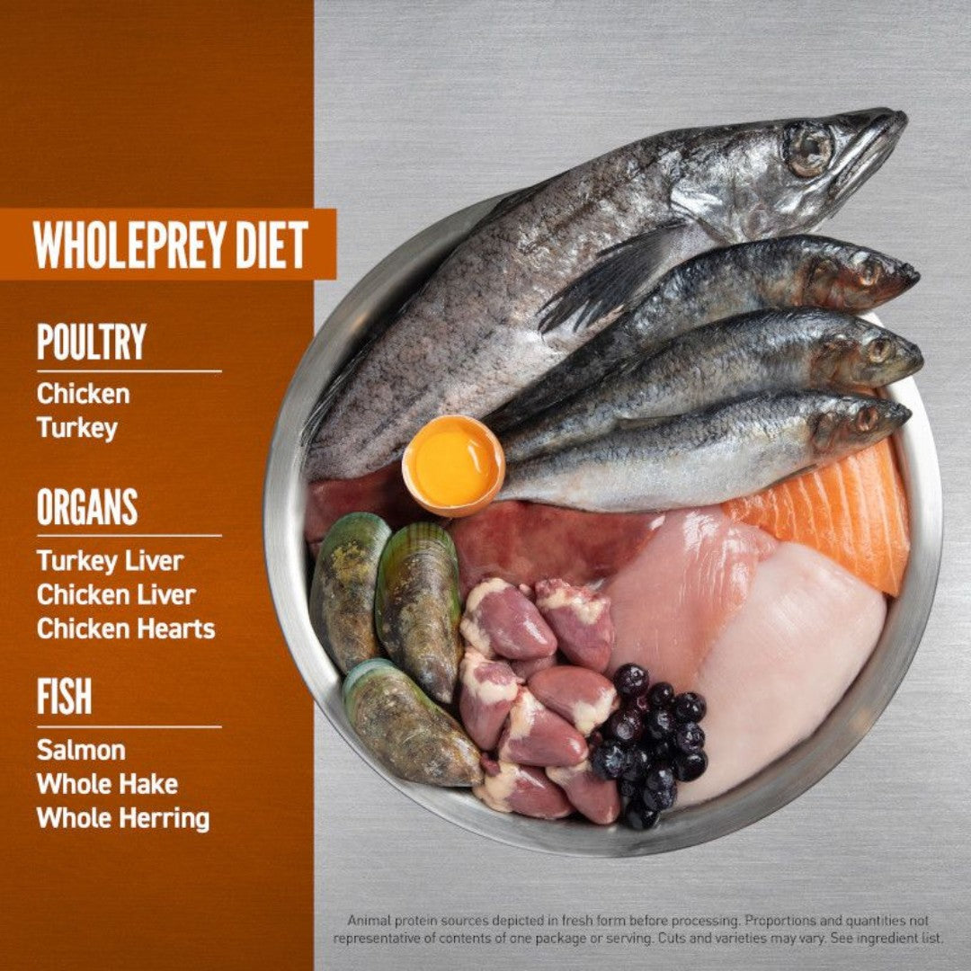 Orijen Puppy Small Breed Dog Dry Food with protein-rich recipes, a Biologically Appropriate diet that consists of protein sourced from fresh or raw animal ingredients Food Diet. 