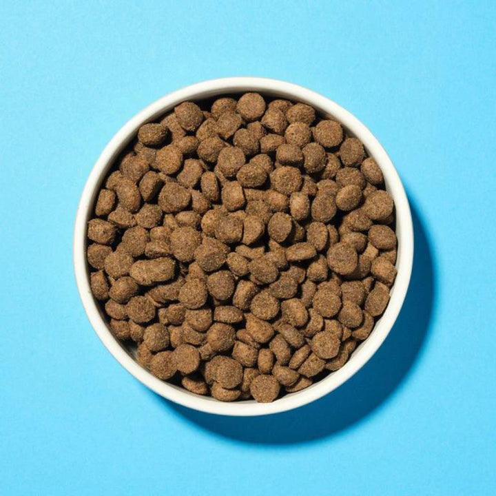 Pooch & Mutt Health & Digestion Dog Dry Food - Kibble Size