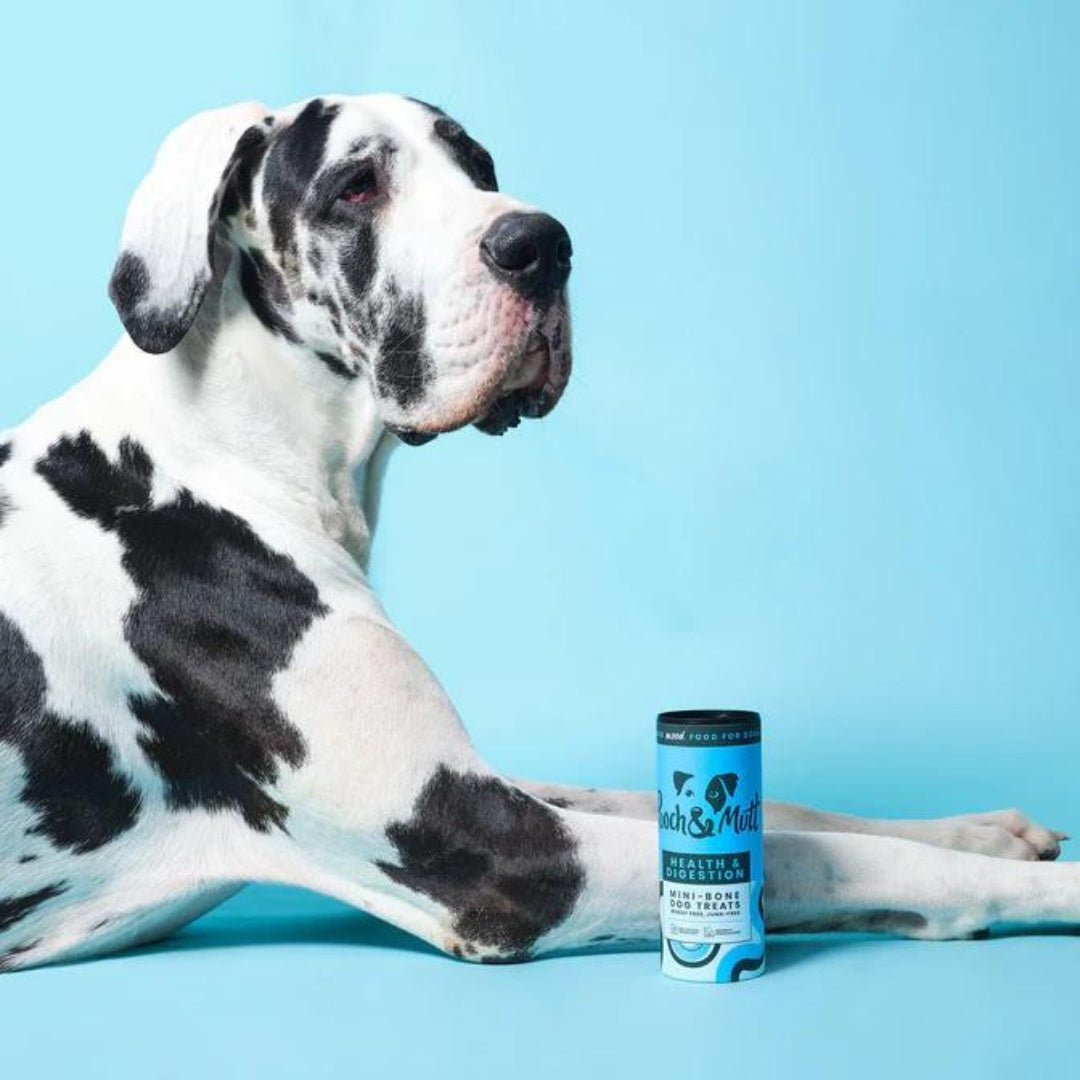 Pooch & Mutt Health & Digestion Mini-Bone Dog Treats - Ad
