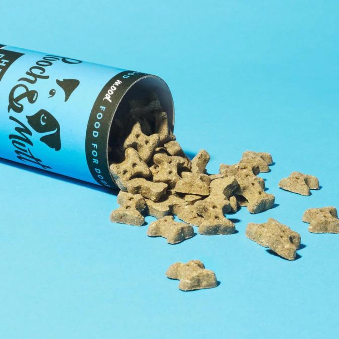 Pooch & Mutt Health & Digestion Mini-Bone Dog Treats - Treat Size