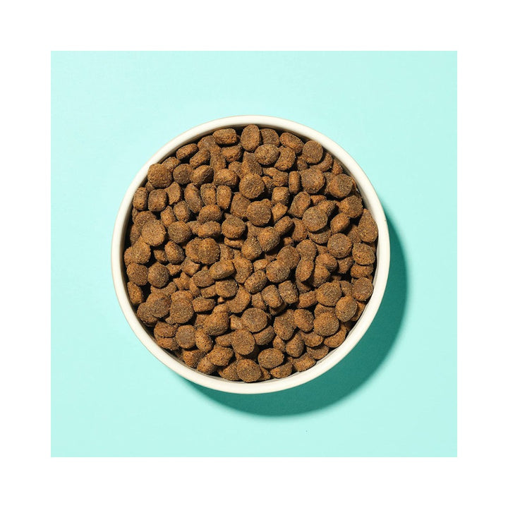 Pooch and Mutt Move Easy provides an all-in-one everyday solution for your dog's needs. This grain-free kibble aids your dog's mobility actual food.