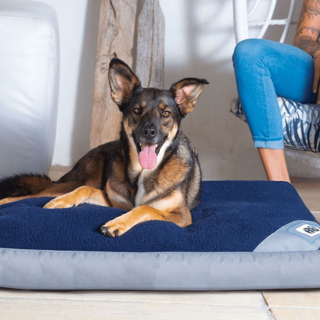 Rogz Lekka Flat Dog Bed -AD