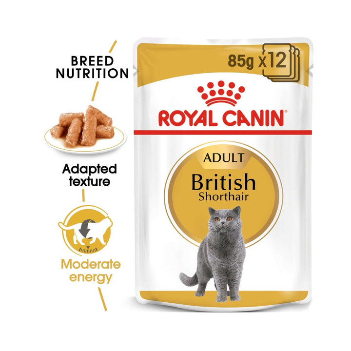 Royal Canin British Shorthair Adult Gravy Cat Wet food Nutritions 