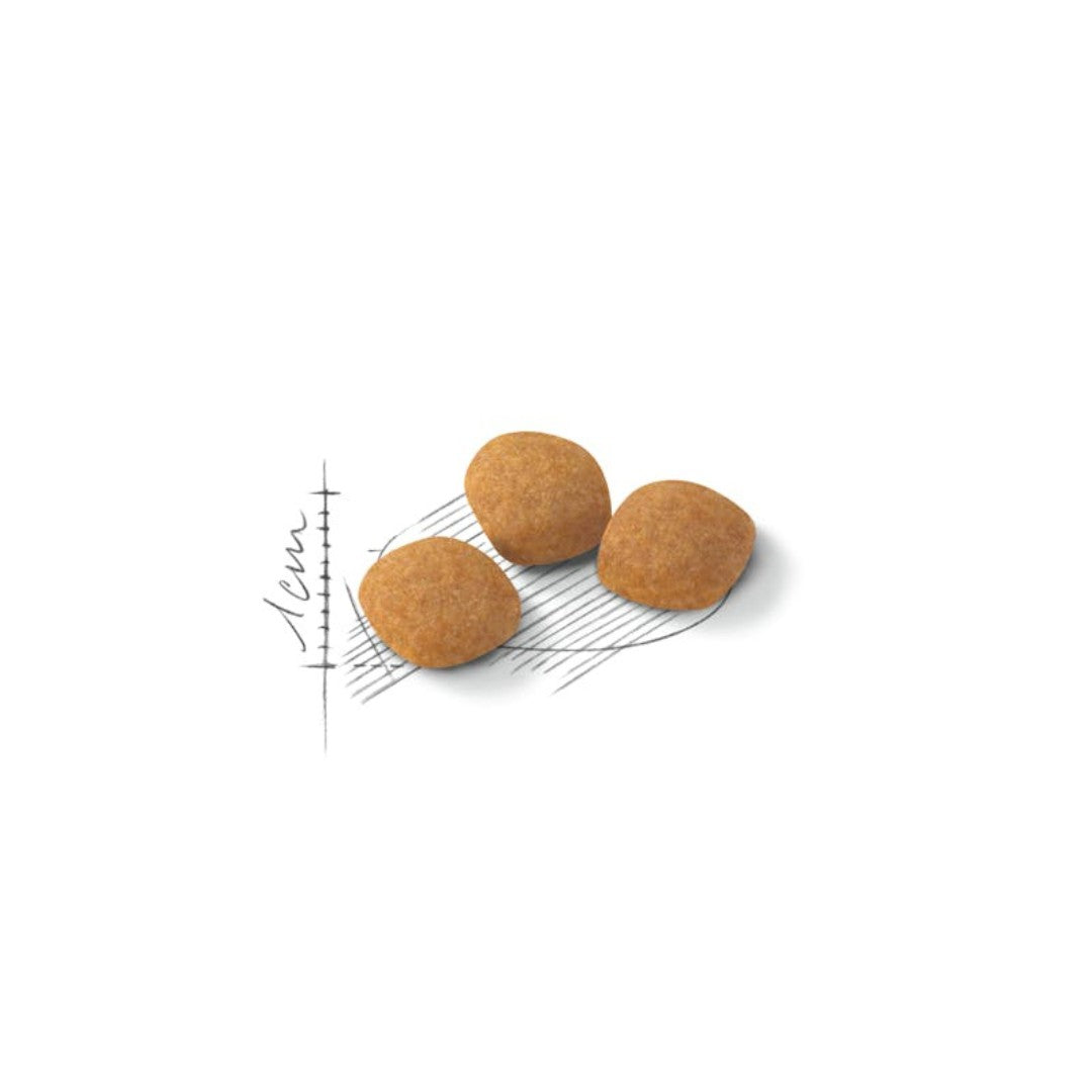 Royal Canin Exigent Protein Cat Dry Food - 2kg front pack - Kibble Size