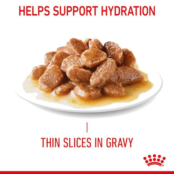 Royal Canin Hair & Skin Care in Gravy Cat Wet Food - Kibbles 