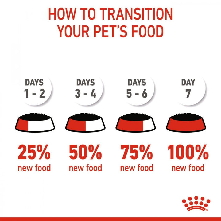 Royal Canin Kitten Sterilised Jelly Wet Food is a specially formulated diet that caters to the nutritional needs of 6 to 12-month-old sterilized kittens - How to change cat Food.
