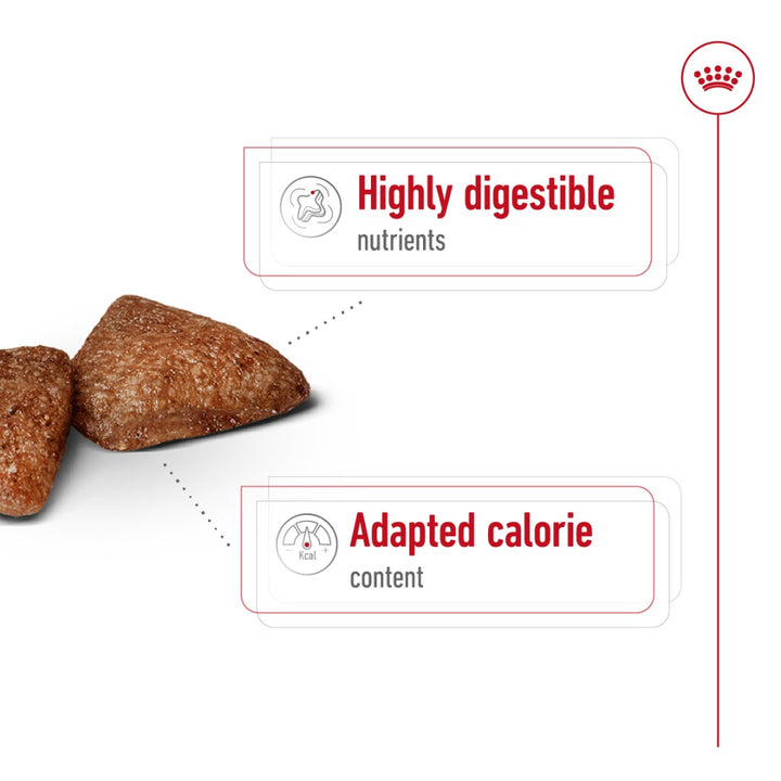 Royal Canin Mini Indoor Adult Dog Dry Food packaging, 1.5kg, for small indoor dogs over ten months old.