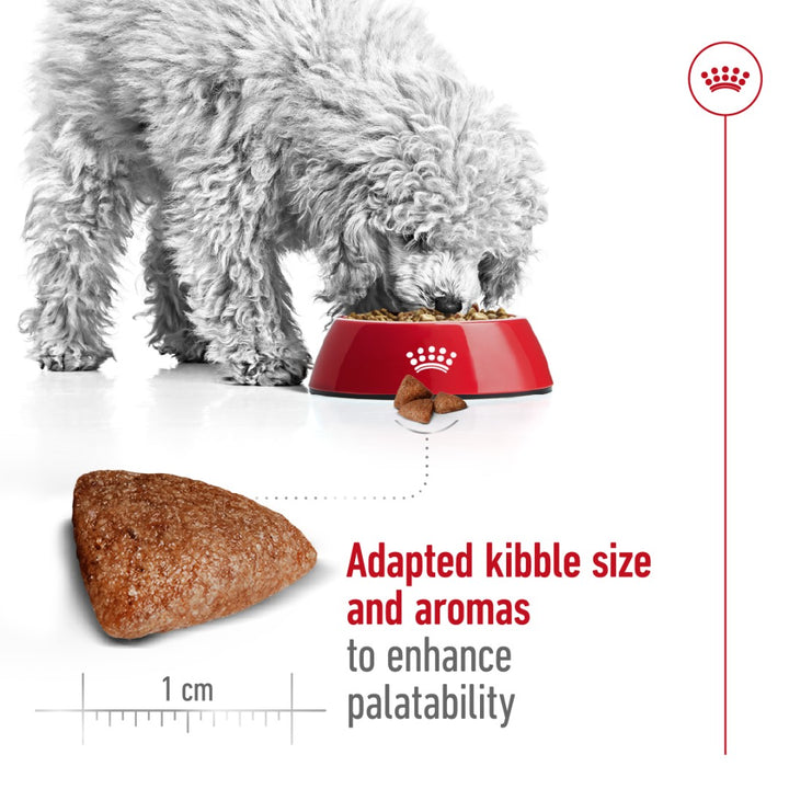 Royal Canin Mini Indoor Adult Dog Dry Food packaging, 1.5kg, for small indoor dogs over ten months old - Kibble Size.