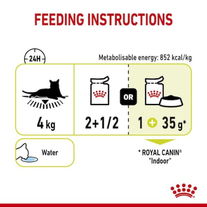Royal Canin Sensory Smell Gravy Cat Wet Food - Feeding Guide 